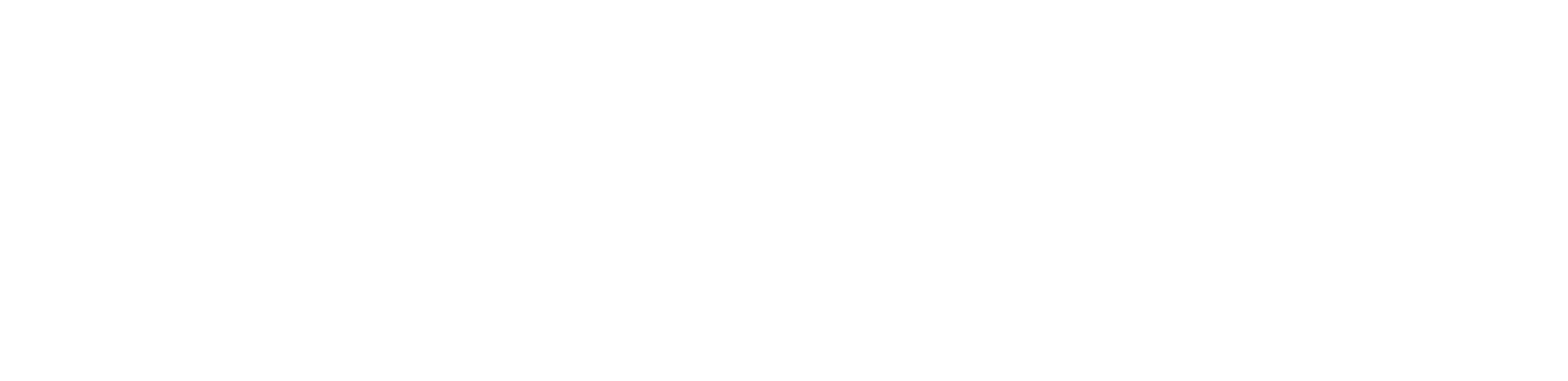 International Student Solutions (ISS) Inc.